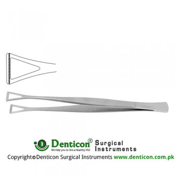 Collin-Duval Intestinal Forceps Stainless Steel, 20 cm - 8" Width 14.0 mm
